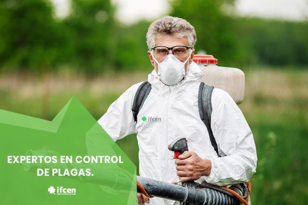 Empresa de fumigación IFCEN, expertos en control de plagas
